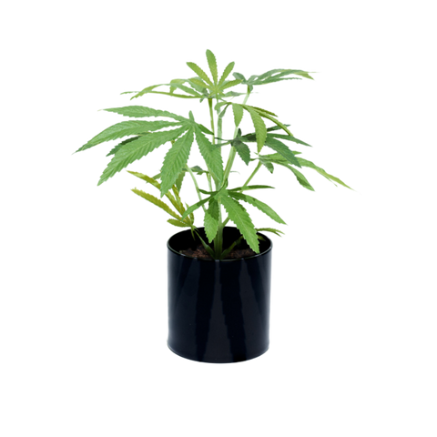 Artificial Houseplants. Pot Plant. PotPlant.shop