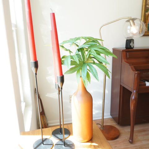 Pot Plant Floral Pick