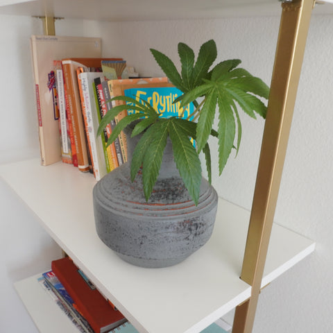 Pot Plant Floral Pick