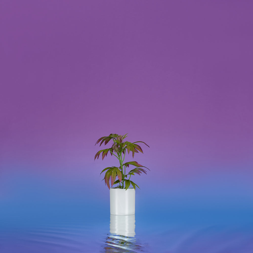 16 16