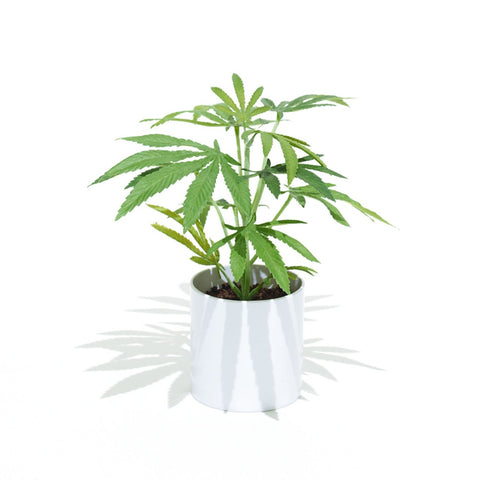 The Clone is the smallest of the Pot Plant collection. This Faux Pot Plant is hyperreal. Unique gift ideas, Best gift ideas, Good gift ideas, Great gifts, Potplant. Pot Plant. The Pot Plant. 