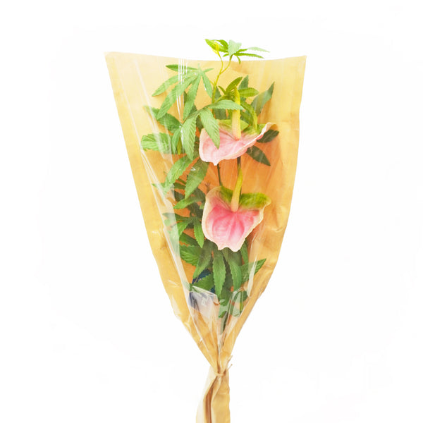 anthurium boquet Anthurium Bouquet – potplant.shop