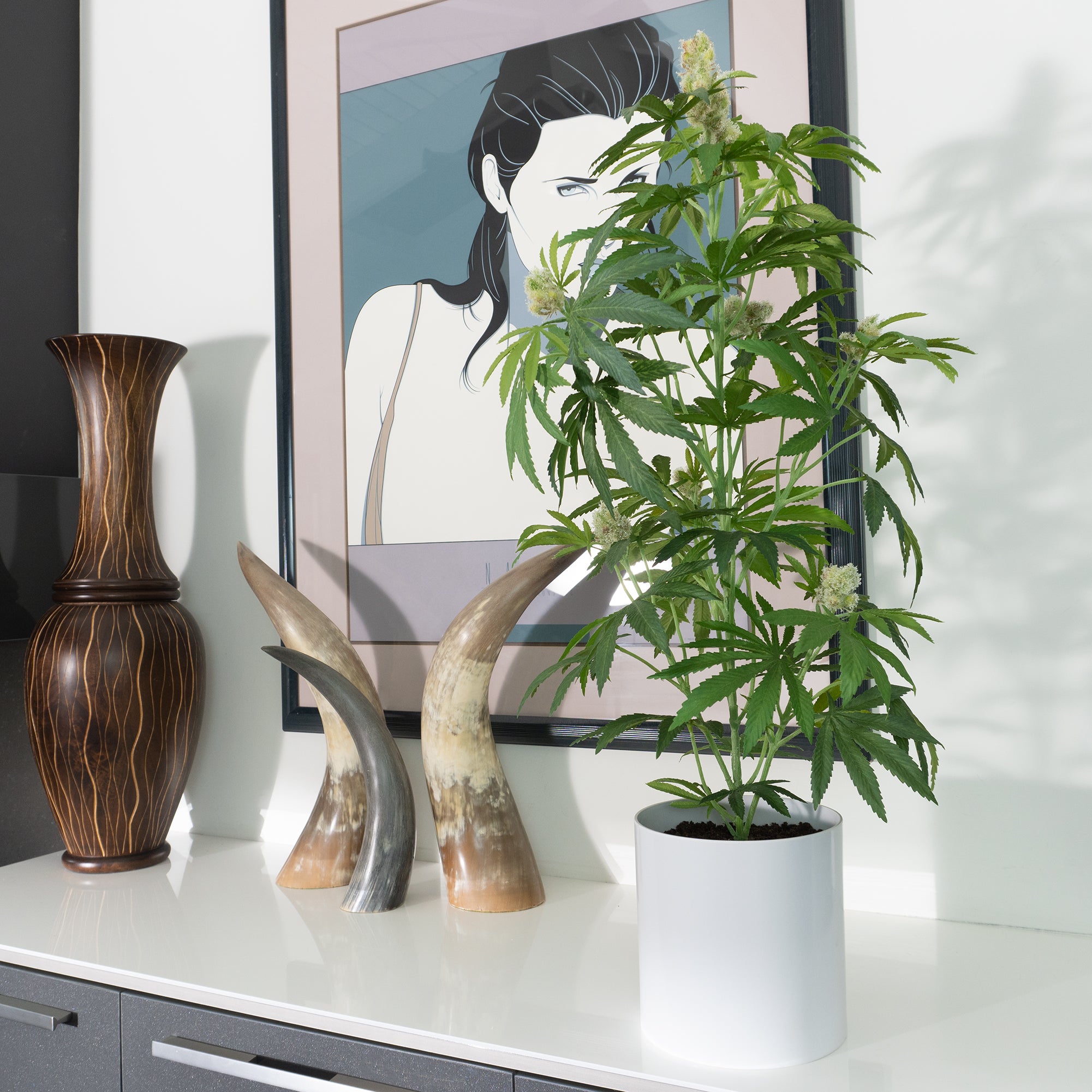 mother plant pot size 36" Mother Pot Plant – potplant.shop