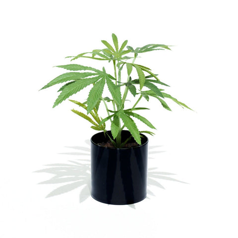 The Clone is the smallest of the Pot Plant collection. This Faux Pot Plant is hyperreal. Unique gift ideas, Best gift ideas, Good gift ideas, Great gifts, Potplant. Pot Plant. The Pot Plant. 